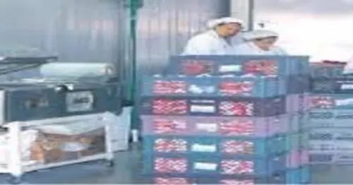 MILENIO CARNES FRIAS BOGOTÁ MILENIO CARNES FRIAS BOGOTÁ